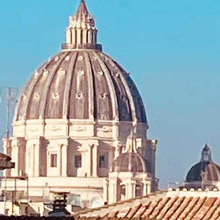 Domes St Peter Vatican "In The Center With An Exclusive View" Rome Bagian luar foto